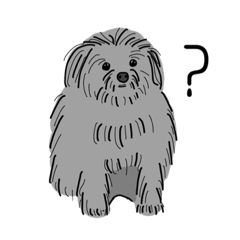 shirogoma_20240116131343