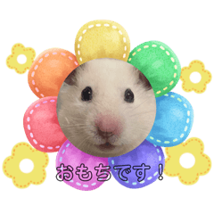 Omochi_20240116132412
