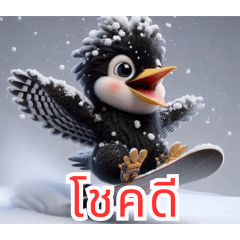 นกโพระดกสีดำเล่นในหิมะ