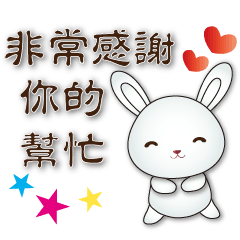 Cute white rabbit-phrases for daily use