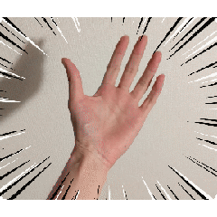 Left hand sign_animation_1