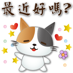 Cute Calico cat-phrases for everyday use