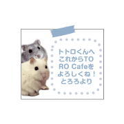hamster micoeco sticker