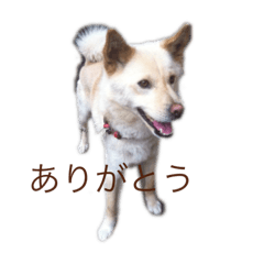 yuka_20240116183142