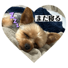 yuri_20240116193437