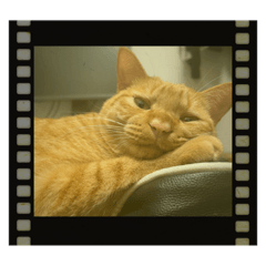 T.WATANABE_20240116202152