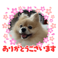 junko_20240116223824