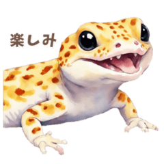 leopard gecko everyday life use