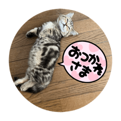 nao_20240116195414