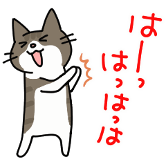 Moving Nano&Kinako 4