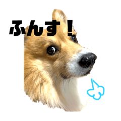 BITOU_20240116211932