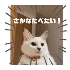 Oisi_20240117111203
