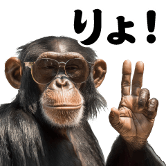 AIグラサンチンパンジー＠実写版スタンプ