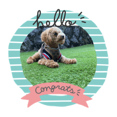 hakuma chiharu_20240116215851