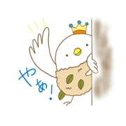 mitsuo_20240117130839