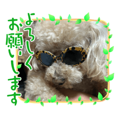 hakuma chiharu_20240116234845