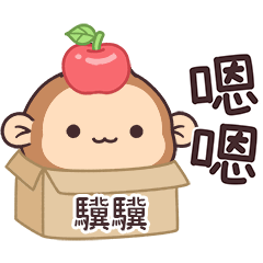 POPO_Monkey1_01648_JI JI