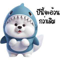 Samoyed dog : shark