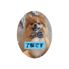 miromiro_20240117135612