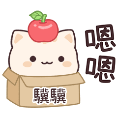 Star_Cat2_01648_JI JI