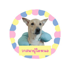 Lucky's Mommy_20240117142725