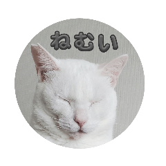 yuri_20240117162246