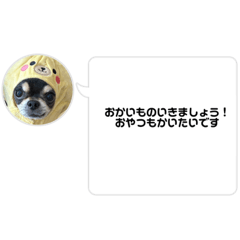SAYAKA_20240117170508
