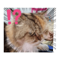 Toeyza.sticker._20240117202407
