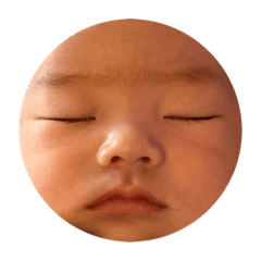 tomomi_20240117160724