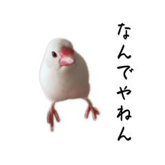 omochi_20240117224440