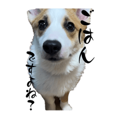 BITOU_20240117223125