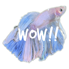 Q-chan_20240117232504