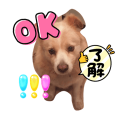 sayuri_20240118101104