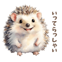 hedgehog everyday use