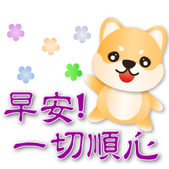 Cute Shiba - Daily Practical Phrases