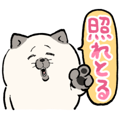 Positive cat Nemu-chan