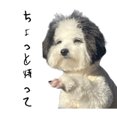 punipuni_20240118113512