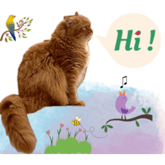 Cat-topia : Maki & cousins (Revision)