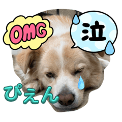 sayuri_20240118135450