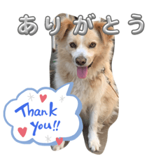 sayuri_20240118135733