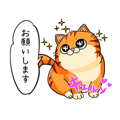 Cat's Tora Nyan chan