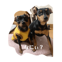 suzu_20240118194434