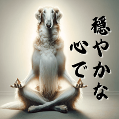 Zen Dogs