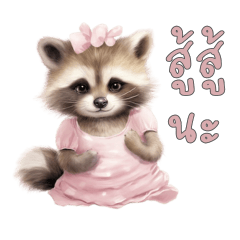 Sweet Raccoon 1