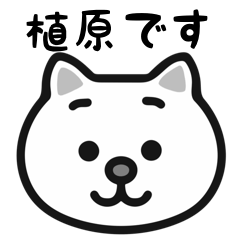 Ueharan cat stickers