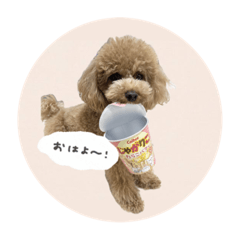 Yuka_20240119000404