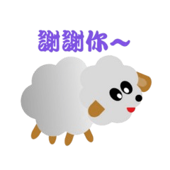 Little cute sheep