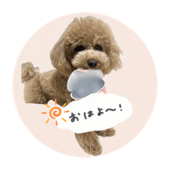 Yuka_20240119103724