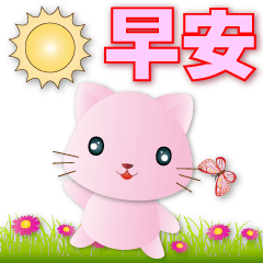 Practical Phrases - Cute Pink Cat