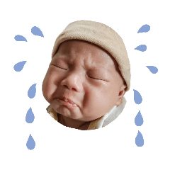 Ploytawan_20240119112628